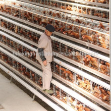 Célèbre fabricant de cage de poulet / cage de poulet Meilleur fournisseur / fabricant de cage de poulet